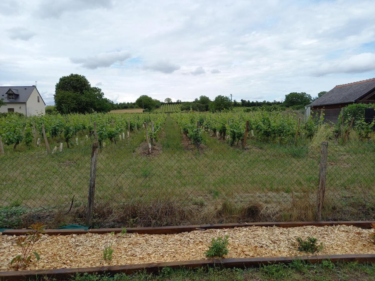 Beaumont-en-Véron Hebergement Sarment Du Veron Chinon 빌라 외부 사진
